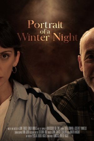 Portrait of a Winter Night
