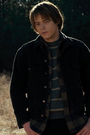 Kapitola pátá: Blecha a akrobat