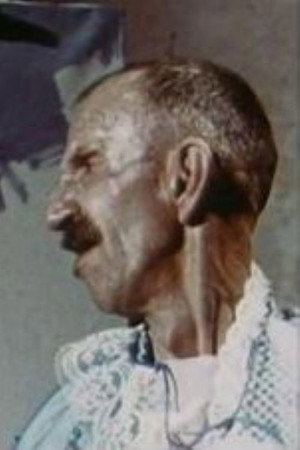 Antonio Ligabue, pittore