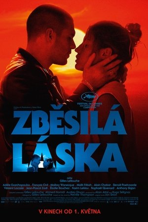 Zběsilá láska