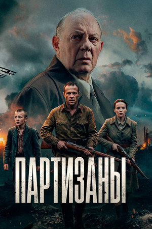 Партизаны