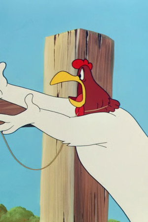 Leghorn Swoggled