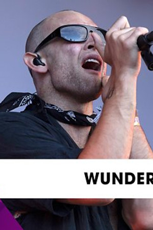 Wunderhorse