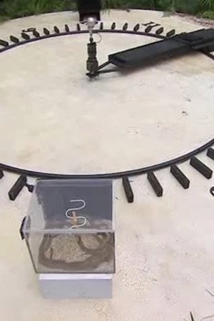 Race Around the Clock