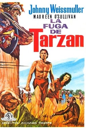 La fuga de Tarzán