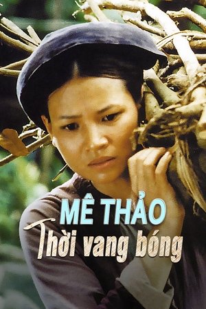 Mê Thảo - thời vang bóng