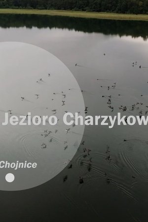 epizoda