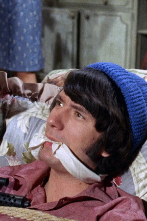 Monkee Mother
