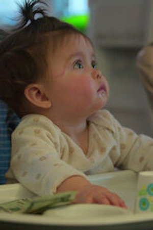 What Babies Know
