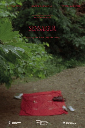 Sensaigua