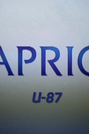 Video Blogs: U-87