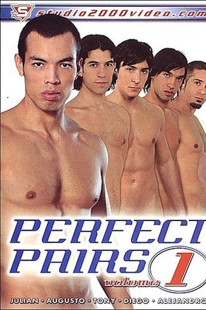 Perfect Pairs