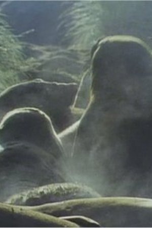 4. epizoda