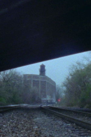 YA SE VEN LOS TIGRES EN LA LLUVIA