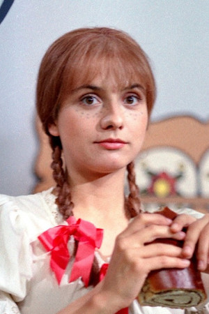 O chudém královstvíčku