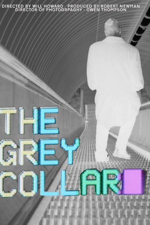 THE GREY COLLAR