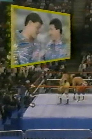 June 18, 1988 - Superstars of Wrestling 94