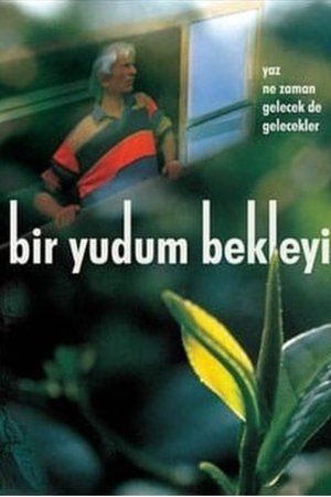 Bir Yudum Bekleyiş