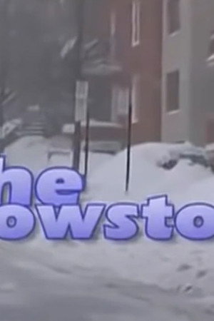 In the Snowstorm