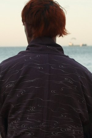 Howls to the Harbour