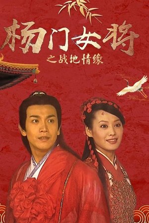 杨门女将之战地情缘