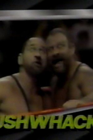April 15, 1989 - Superstars of Wrestling 137