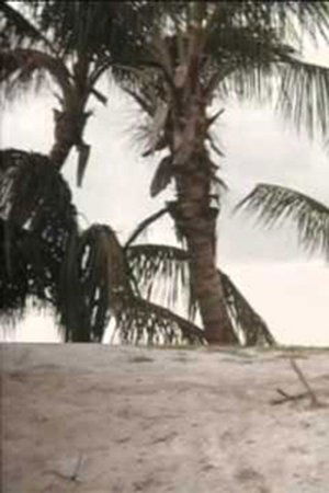 23. epizoda