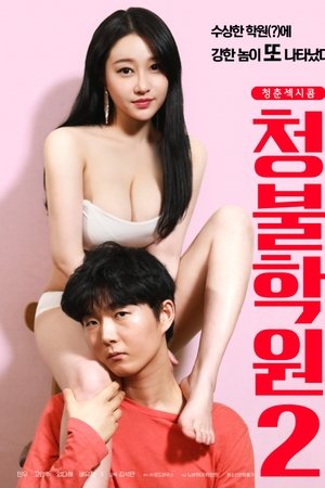 Adult Only Institute 2