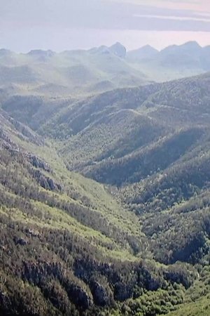 6. epizoda