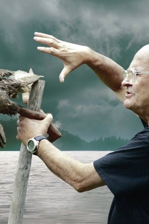 Ei kukaan ole saari