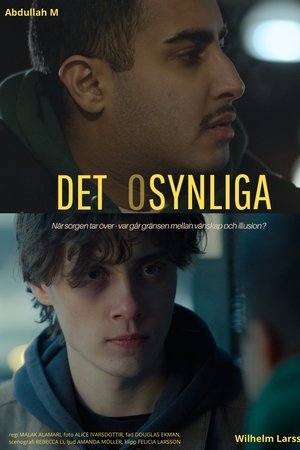Det Osynliga