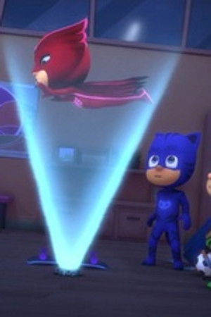 Jedinečná Sovička