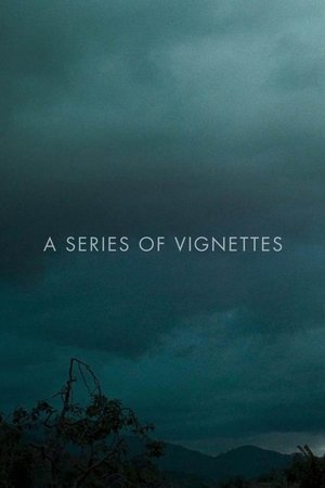 A Series of Vignettes