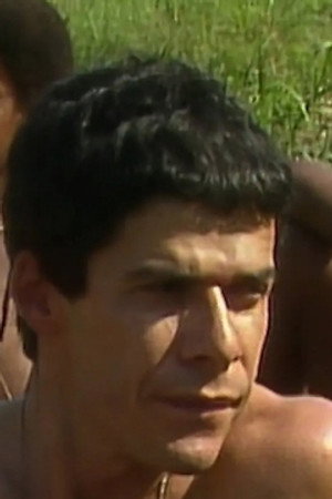 1977: A Organização (3)