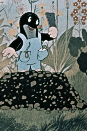 How The Mole Got His Pants...