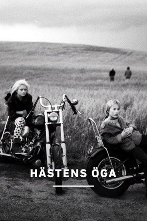 Hästens öga