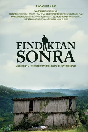 Fındıktan Sonra
