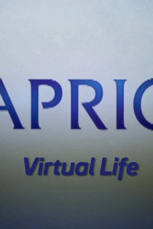 Video Blogs: Virtual Life
