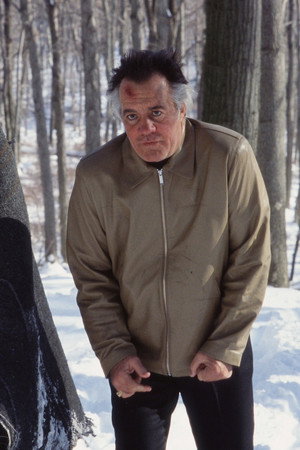 Pine Barrens