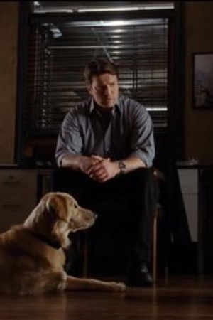 Pes, přítel člověka