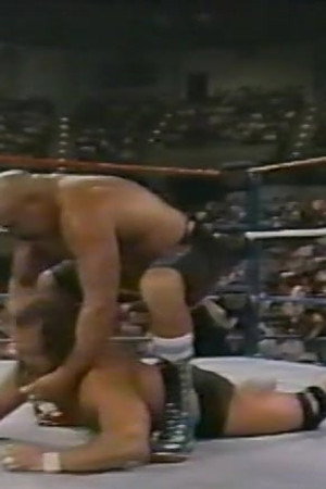 July 30, 1988 - Superstars of Wrestling 100