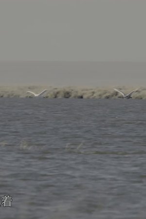 3. epizoda