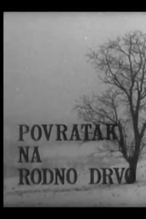 Povratak na rodno drvo