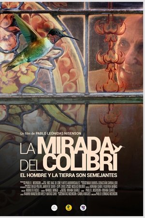 La mirada del colibrí