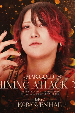 Marigold Shining Attack 2026 ~ Day 7