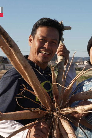 Breaking Barriers by Farming