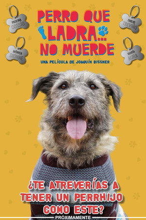 Perro Que Ladra... No Muerde