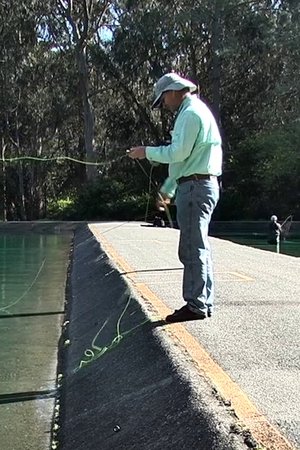 Fly Line
