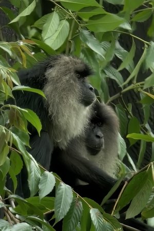 6. epizoda