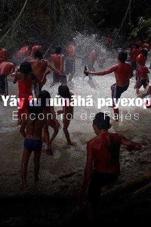 Yãy tu nũnãhã payexop: Encontro de Pajés